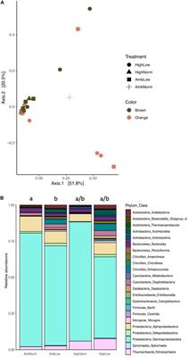 A New “Business as Usual” Climate Scenario and the Stress Response of the Caribbean Coral Montastraea cavernosa